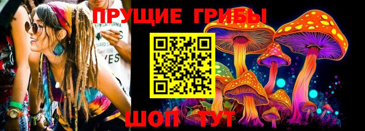 Баксан  Галлюциногенные грибы Cubensis  Галлюциногенные грибы Psilocybine cubensis  Вход с VPN 