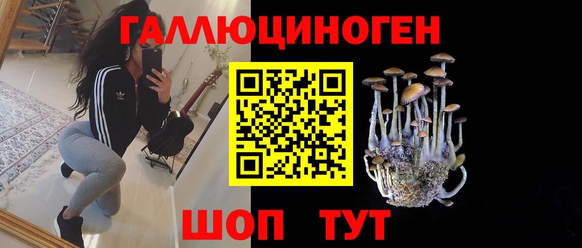 Псилоцибиновые грибы Magic Shrooms Баксан